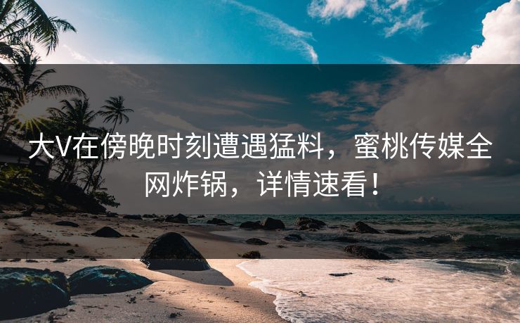大V在傍晚时刻遭遇猛料，蜜桃传媒全网炸锅，详情速看！